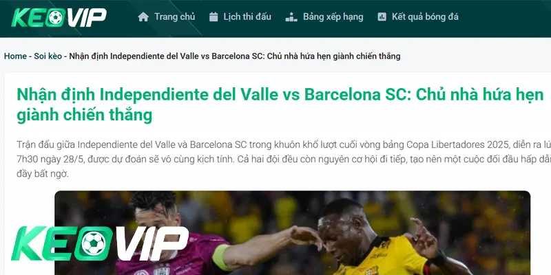 Khám phá các nguồn tin chất lượng cao